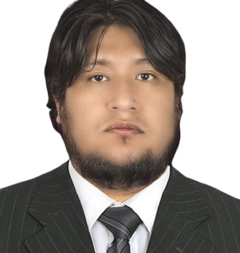 Ph.D. Alfredo Soliz Gamboa